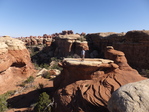 Canyonlands  NP Elephant hill  and Chester park trails