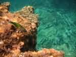 Evea-Kastri-Golf_Beach-2