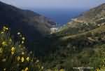 Kalergon - Ag.Dimitros-beach-3