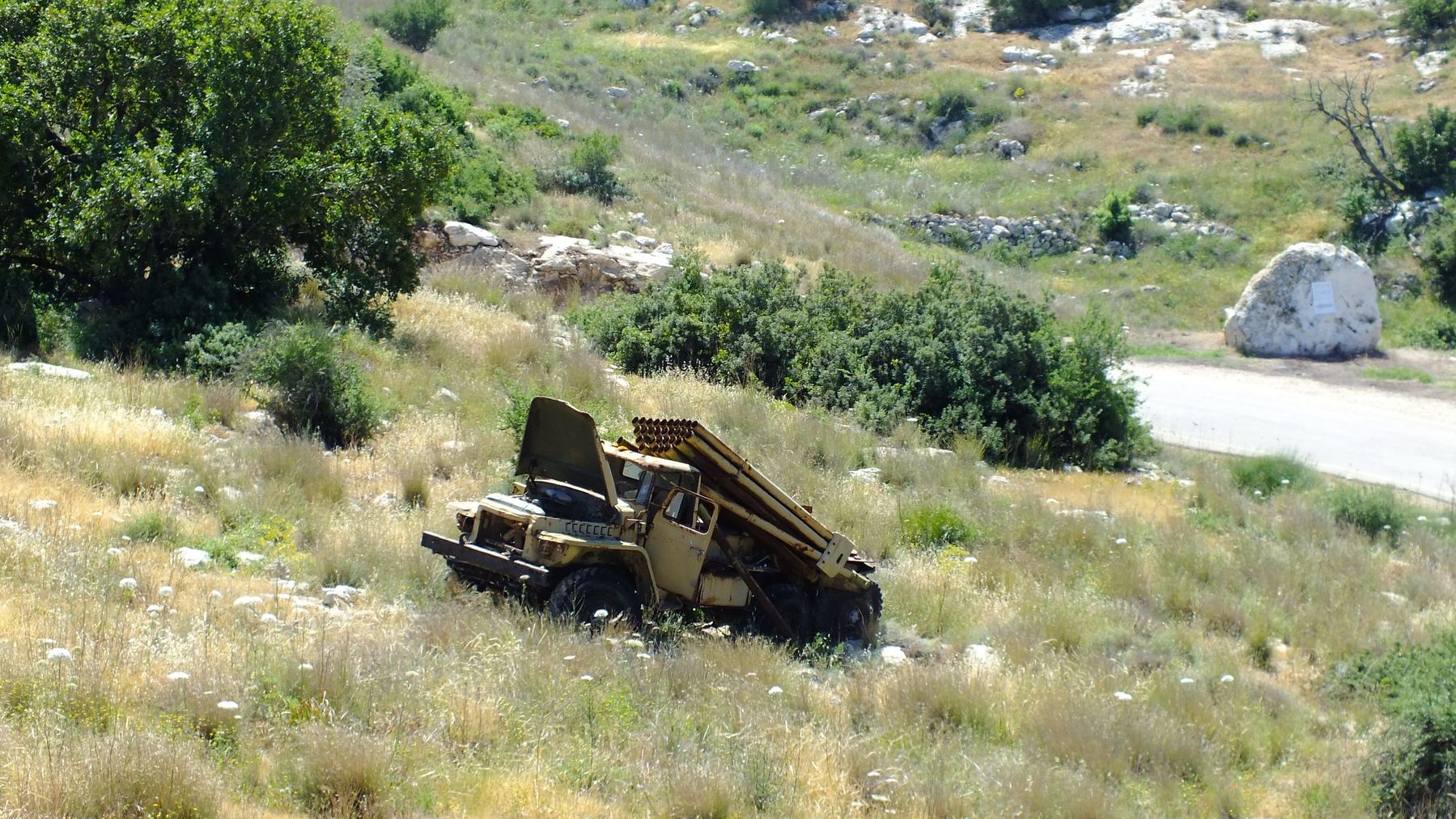 266007.jpg