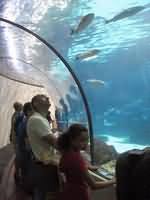   http://www.aquariumbcn.com